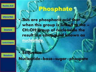 Nucleic Acid 
DNA & RNA 
Structure 
Central Dogma 
Mutations 
Phosphate 
• This are phosphoric acid that 
when this group is linked to the – 
CH2OH group of nucleoside the 
result is a compound known as 
nucleotide. 
• Sequence: 
Nucleotide=base+sugar+phospate 
 