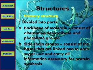 Nucleic Acid 
DNA & RNA 
Structure 
Central Dogma 
Mutations 
Structures 
1. Primary structure 
• Divided into parts: 
a. Backbone of molecule – consist of 
alternating deoxyribose and 
phosphate groups. 
b. Side-chain groups – consist of the 
bases that are linked one to each 
sugar unit and carry all 
information necessary for protein 
synthesis. 
 
