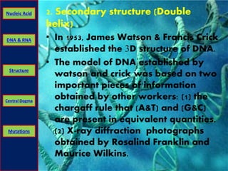 Nucleic Acid 2. Secondary structure (Double 
DNA & RNA 
Structure 
Central Dogma 
Mutations 
helix) 
• In 1953, James Watson & Francis Crick 
established the 3D structure of DNA. 
• The model of DNA established by 
watson and crick was based on two 
important pieces of information 
obtained by other workers: (1) the 
chargaff rule that (A&T) and (G&C) 
are present in equivalent quantities. 
(2) X-ray diffraction photographs 
obtained by Rosalind Franklin and 
Maurice Wilkins. 
 