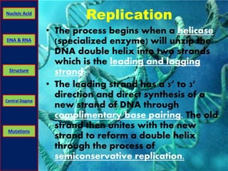 Nucleic Acid Replication 
DNA & RNA 
Structure 
Central Dogma 
Mutations 
• The process begins when a helicase 
(specialized enzyme) will unzip the 
DNA double helix into two strands 
which is the leading and lagging 
strand. 
• The leading strand has a 5’ to 3’ 
direction and direct synthesis of a 
new strand of DNA through 
complimentary base pairing. The old 
strand then unites with the new 
strand to reform a double helix 
through the process of 
semiconservative replication. 
 