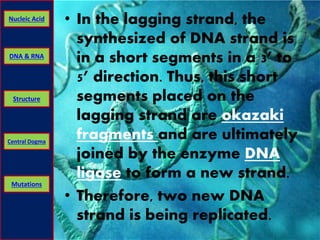 Nucleic Acid • In the lagging strand, the 
DNA & RNA 
Structure 
Central Dogma 
Mutations 
synthesized of DNA strand is 
in a short segments in a 3’ to 
5’ direction. Thus, this short 
segments placed on the 
lagging strand are okazaki 
fragments and are ultimately 
joined by the enzyme DNA 
ligase to form a new strand. 
• Therefore, two new DNA 
strand is being replicated. 
 