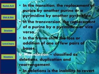 Nucleic Acid • In the transition, the replacement of 
DNA & RNA 
Structure 
Central Dogma 
Mutations 
purine by another purine or a 
pyrimidine by another pyrimidine. 
• In the transversion, the replacement 
of a purine by a pyrimidine or vice 
versa.. 
• In the frame-shift, the loss or 
addition of one of few pairs of 
bases. 
b. Macrolesion – classified as 
deletions, duplication and 
rearrangement. 
• In deletions is the inability to revert. 
 