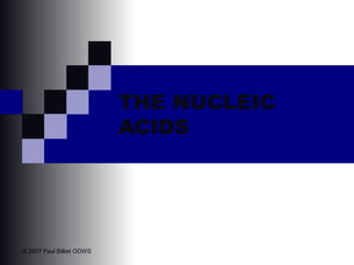 THE NUCLEIC
ACIDS
© 2007 Paul Billiet ODWS
 