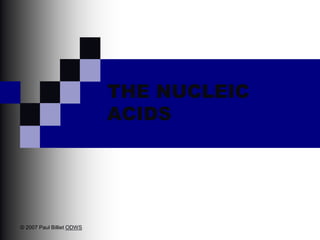 THE NUCLEIC
ACIDS
© 2007 Paul Billiet ODWS
 
