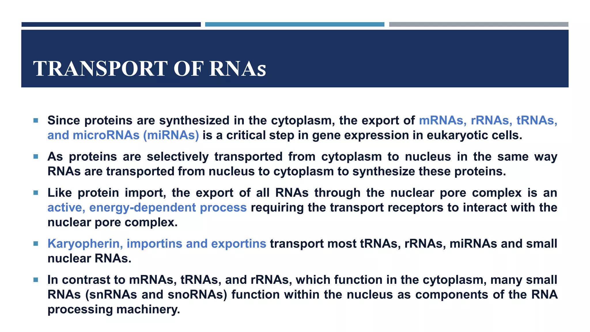 The Nucleus | PPTX
