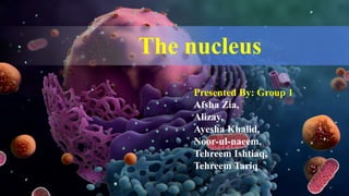 The nucleus
Presented By: Group 1
Afsha Zia,
Alizay,
Ayesha Khalid,
Noor-ul-naeem,
Tehreem Ishtiaq,
Tehreem Tariq
 