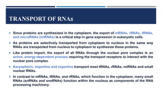 TRANSPORT OF RNAs
 Since proteins are synthesized in the cytoplasm, the export of mRNAs, rRNAs, tRNAs,
and microRNAs (miRNAs) is a critical step in gene expression in eukaryotic cells.
 As proteins are selectively transported from cytoplasm to nucleus in the same way
RNAs are transported from nucleus to cytoplasm to synthesize these proteins.
 Like protein import, the export of all RNAs through the nuclear pore complex is an
active, energy-dependent process requiring the transport receptors to interact with the
nuclear pore complex.
 Karyopherin, importins and exportins transport most tRNAs, rRNAs, miRNAs and small
nuclear RNAs.
 In contrast to mRNAs, tRNAs, and rRNAs, which function in the cytoplasm, many small
RNAs (snRNAs and snoRNAs) function within the nucleus as components of the RNA
processing machinery.
 