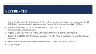 REFERENCES
 Pelava, A., Schneider, C., & Watkins, N. J. (2016). The importance of ribosome production, and the 5S
RNP-MDM2 pathway, in health and disease. Biochemical Society transactions, 44(4), 1086-90.
 Holmer, L. & Worman, H. CMLS, Cell. Mol. Life Sci. (2001) 58: 1741.
https://doi.org/10.1007/PL00000813
 Plopper, G. (n.d.). Lewins cells (3rd ed.). Burlington, MA;Jones & Bartlett Learning;2015.
 Cooper, G. M. (2007). Cell: A molecular approach (4rth ed.). Place of publication not identified: Sinauer
Associates.
 Alberts, B. (2008). Molecular biology of the cell (5th ed.). New York: Garland Science.
 Google Images
 