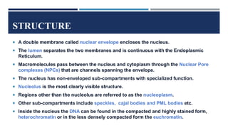STRUCTURE
 A double membrane called nuclear envelope encloses the nucleus.
 The lumen separates the two membranes and is continuous with the Endoplasmic
Reticulum.
 Macromolecules pass between the nucleus and cytoplasm through the Nuclear Pore
complexes (NPCs) that are channels spanning the envelope.
 The nucleus has non-enveloped sub-compartments with specialized function.
 Nucleolus is the most clearly visible structure.
 Regions other than the nucleolus are referred to as the nucleoplasm.
 Other sub-compartments include speckles, cajal bodies and PML bodies etc.
 Inside the nucleus the DNA can be found in the compacted and highly stained form,
heterochromatin or in the less densely compacted form the euchromatin.
 