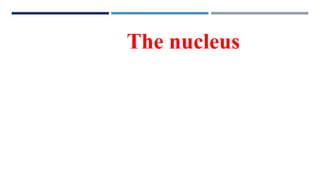The nucleus
 