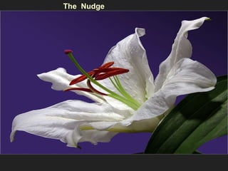 The  Nudge 