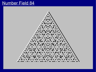 Number Field 84
 
