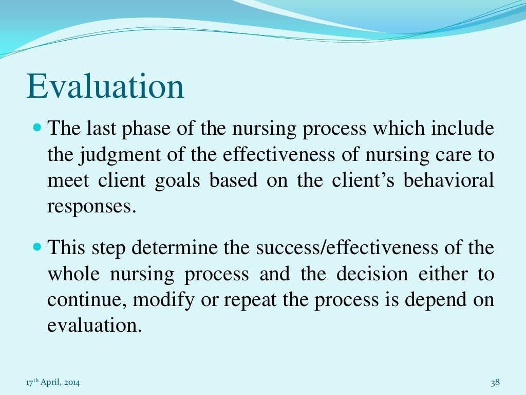 essay about nursing process