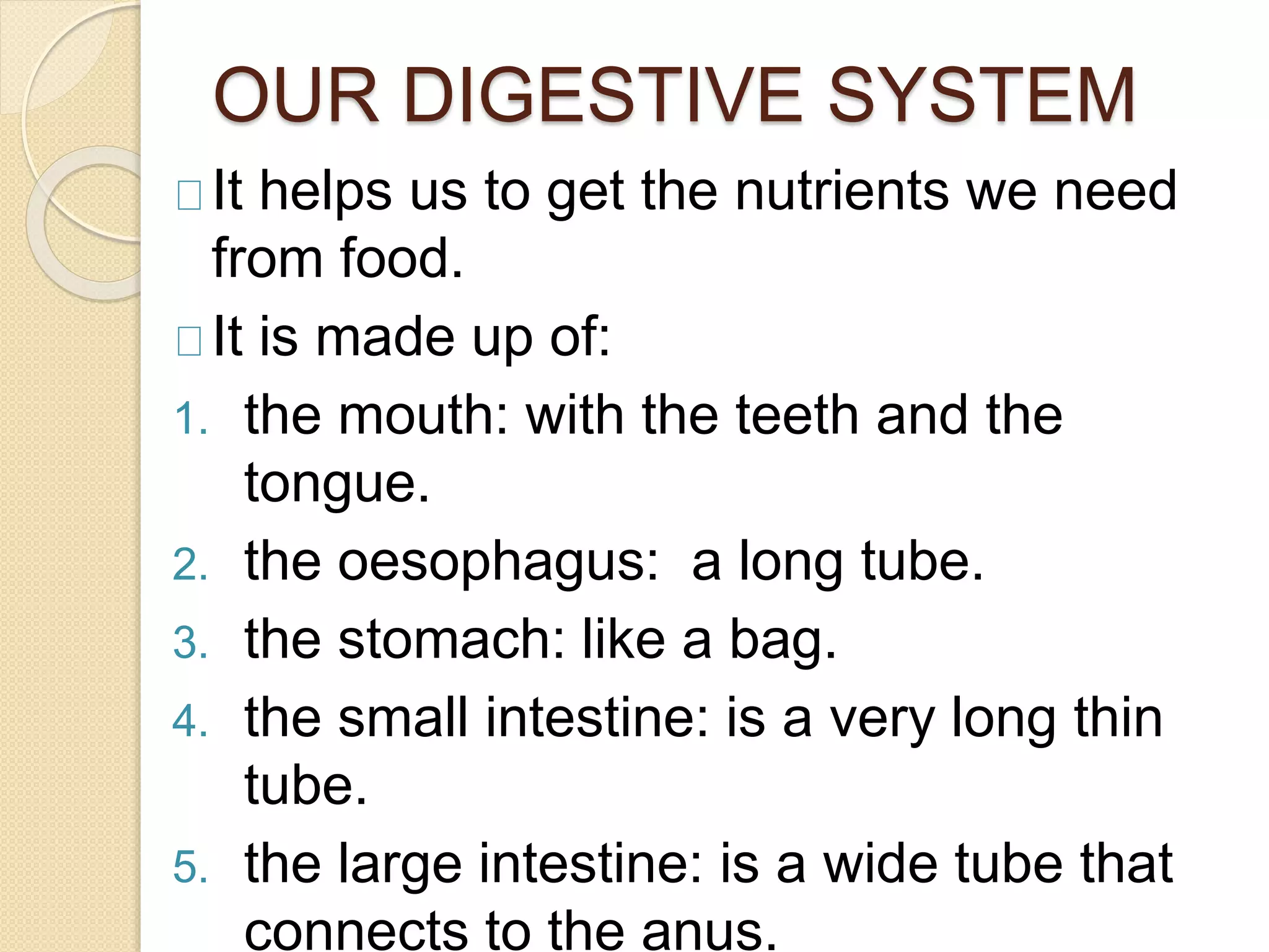 OUR DIGESTIVE SYSTEM
It helps us to get the nutrients we need
from food.
It is made up of:
1. the mouth: with the teeth and the
tongue.
2. the oesophagus: a long tube.
3. the stomach: like a bag.
4. the small intestine: is a very long thin
tube.
5. the large intestine: is a wide tube that
connects to the anus.
 