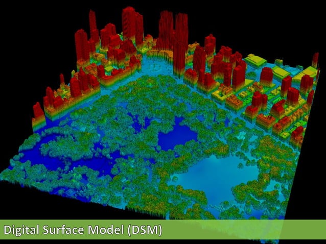 Hawaii Pacific GIS Conference 2012: Forestry and Tree Mapping - The ...