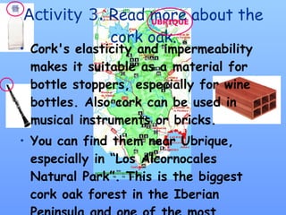 Activity 3.  Read more about the cork oak. Cork's elasticity and impermeability makes it suitable as a material for bottle stoppers, especially for wine bottles. Also cork can be used in musical instruments or bricks. You can find them near Ubrique, especially in “Los Alcornocales Natural Park”. This is the biggest cork oak forest in the Iberian Peninsula and one of the most important around the world. UBRIQUE 