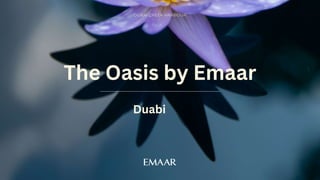 DUBAI CREEK HARBOUR
The Oasis by Emaar
Duabi
 