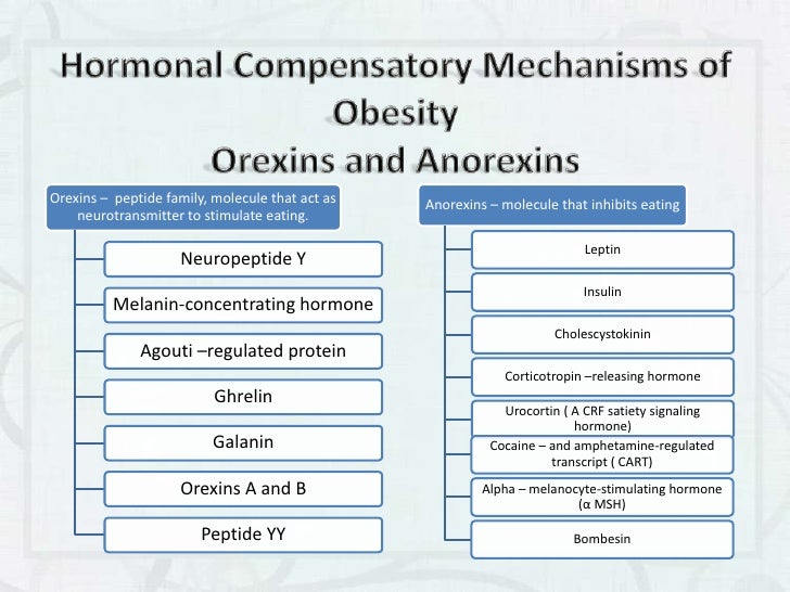 The obesity phenomenon