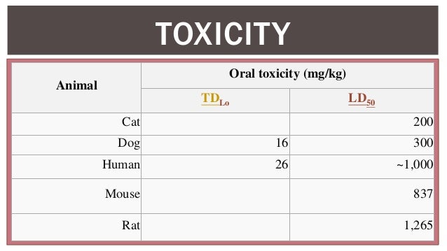 theobromine dog