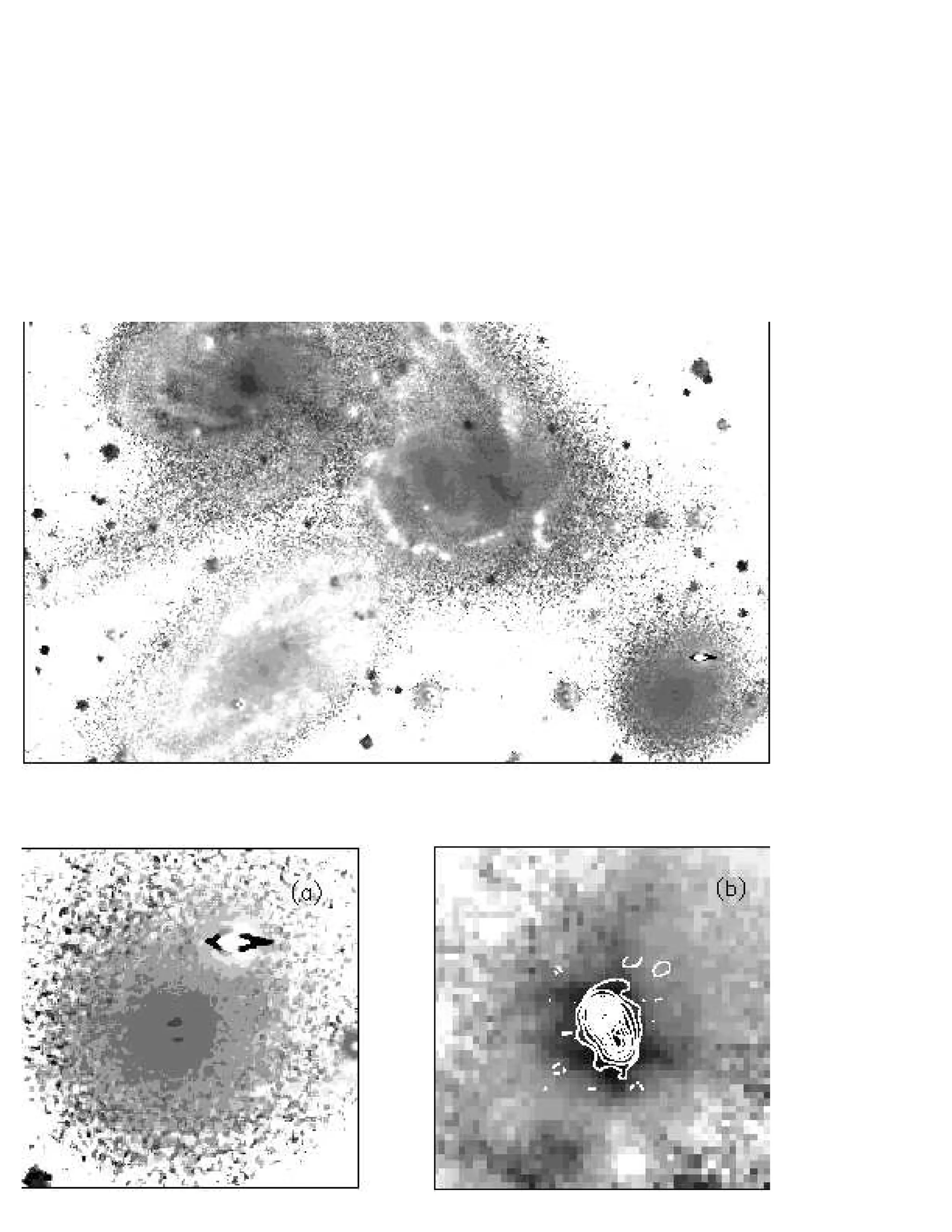 The observational status_of_stephans_quintet