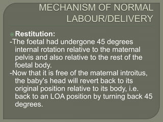  Restitution:
-The foetal had undergone 45 degrees
  internal rotation relative to the maternal
  pelvis and also relative to the rest of the
  foetal body.
-Now that it is free of the maternal introitus,
  the baby's head will revert back to its
  original position relative to its body, i.e.
  back to an LOA position by turning back 45
  degrees.
 