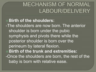  Birth of the shoulders:
-The shoulders are now born. The anterior
  shoulder is born under the pubic
  symphysis and pivots there while the
  posterior shoulder is born over the
  perineum by lateral flexion.
 Birth of the trunk and extremities:
-Once the shoulders are born, the rest of the
  baby is born with relative ease.
 