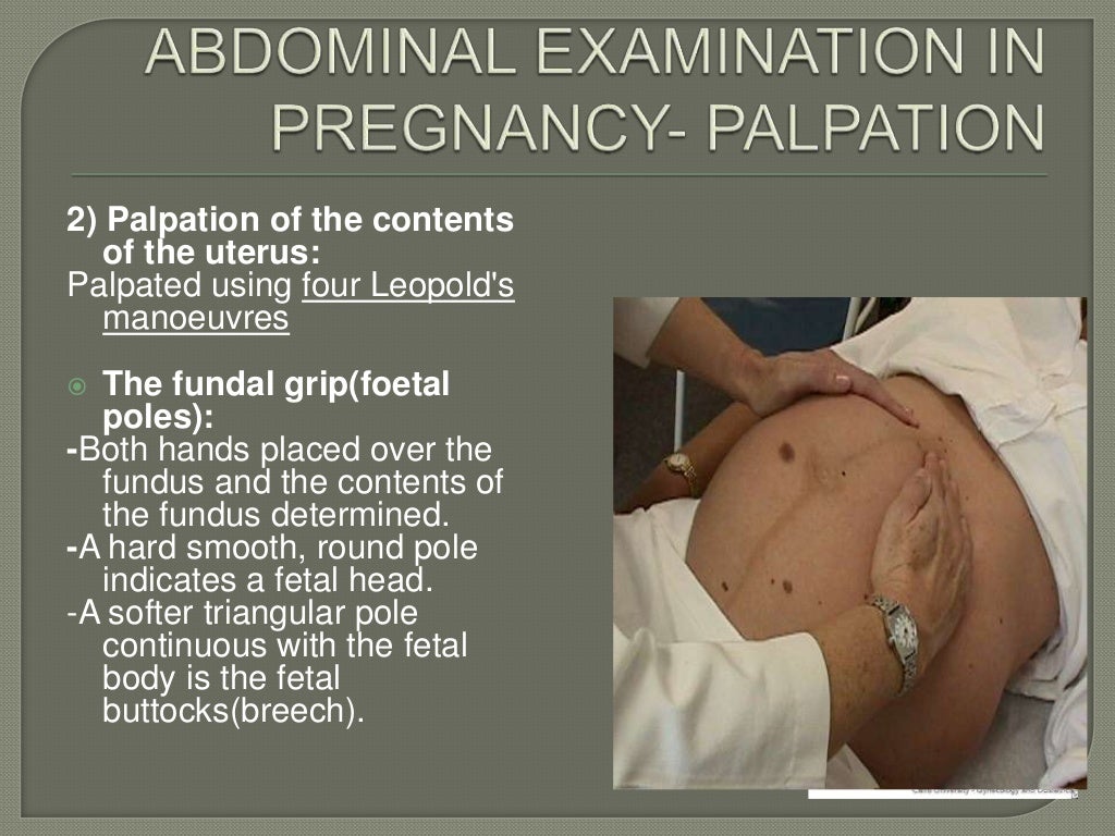 The obstetric examination ppt