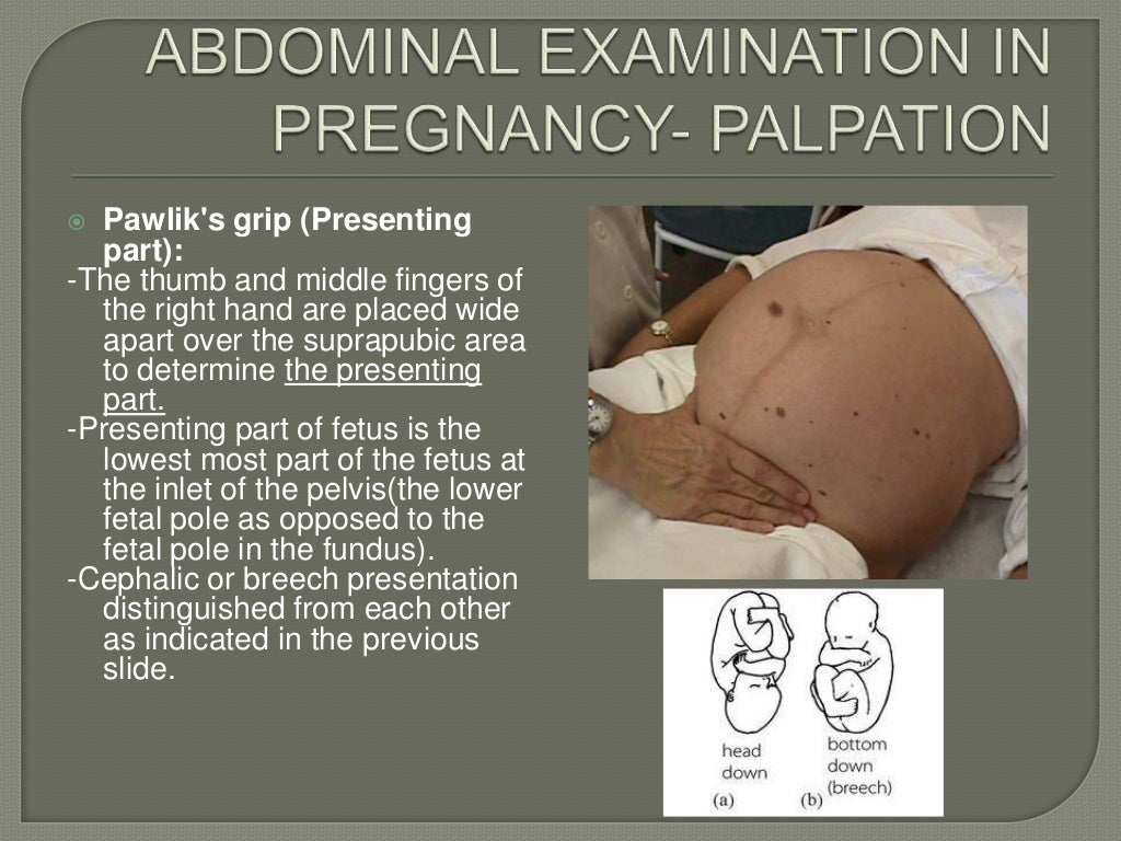 The obstetric examination ppt