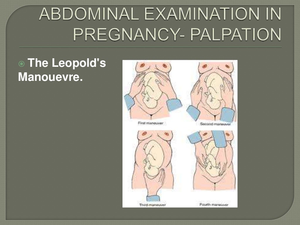 The obstetric examination ppt