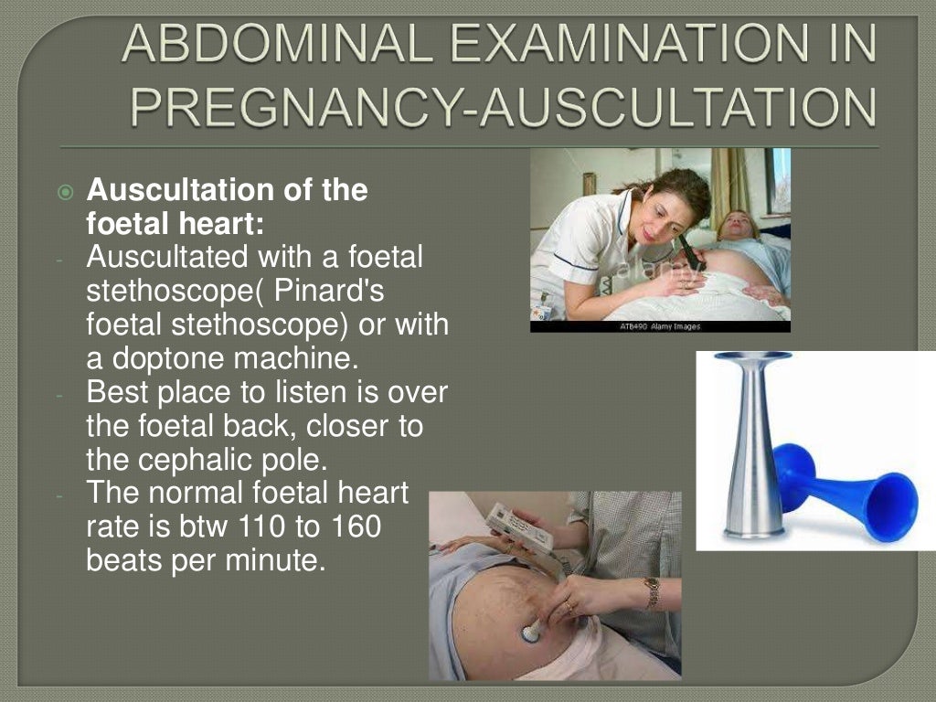 The obstetric examination ppt