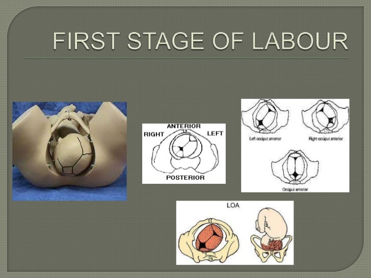 The obstetric examination ppt