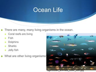 Ocean LifeThere are many, many living organisms in the ocean.Coral reefs are living FishDolphinsSharksJelly fishWhat are other living organisms?http://docs.lib.noaa.gov/OEDV/ODS2004/image/ocean_animals_color_600.jpg