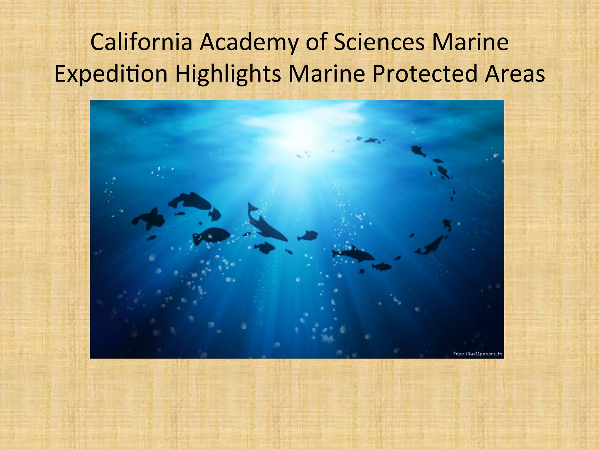 California	
  Academy	
  of	
  Sciences	
  Marine	
  
Expedi.on	
  Highlights	
  Marine	
  Protected	
  Areas	
  
 