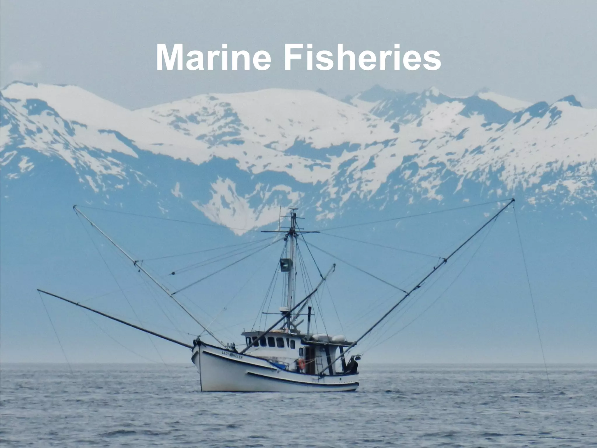 Marine Fisheries
 