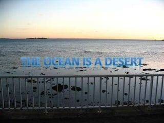 The ocean is a desert 