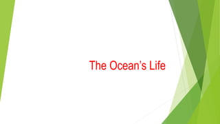 The Ocean’s Life
 