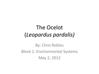 The Ocelot
 (Leopardus pardalis)
        By: Chris Robles
Block 1: Environmental Systems
          May 2, 2012
 