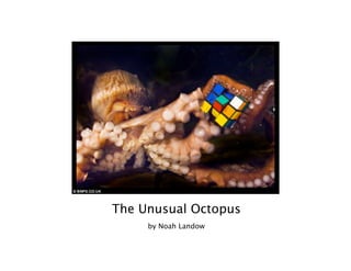 The Unusual Octopus
     by Noah Landow
 