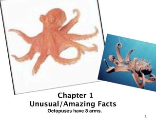Chapter 1
Unusual/Amazing Facts
    Octopuses have 8 arms.
                             1
 