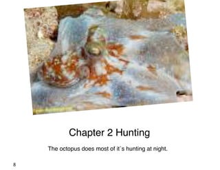 Chapter 2 Hunting
    The octopus does most of it`s hunting at night.

8
 