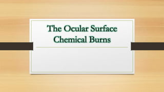 The Ocular Surface
Chemical Burns
 