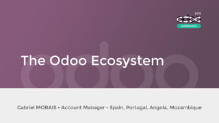 The Odoo Ecosystem
Gabriel MORAIS • Account Manager - Spain, Portugal, Angola, Mozambique
2019
EXPERIENCE
 