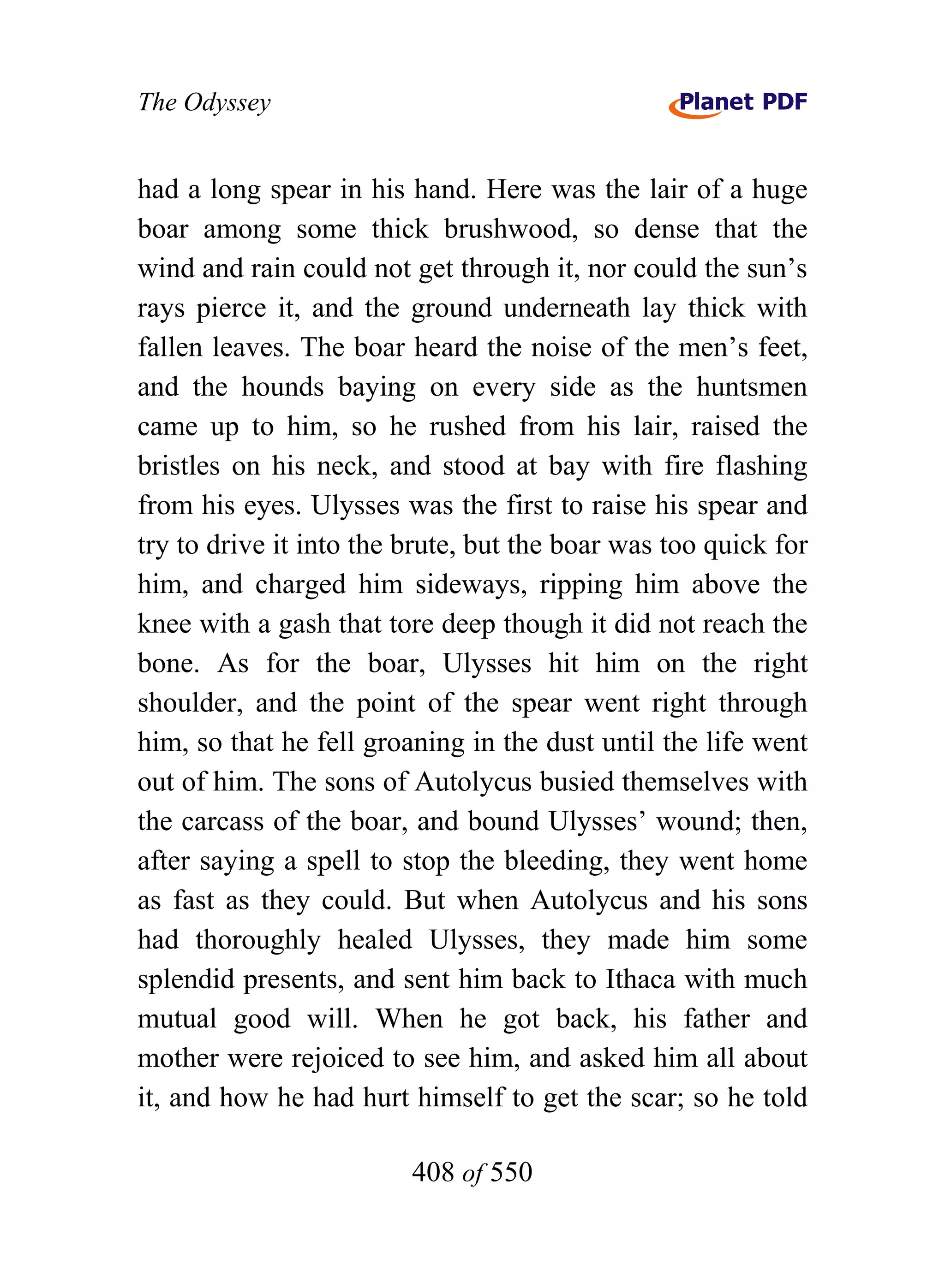 The Odyssey


had a long spear in his hand. Here was the lair of a huge
boar among some thick brushwood, so dense that the
wind and rain could not get through it, nor could the sun’s
rays pierce it, and the ground underneath lay thick with
fallen leaves. The boar heard the noise of the men’s feet,
and the hounds baying on every side as the huntsmen
came up to him, so he rushed from his lair, raised the
bristles on his neck, and stood at bay with fire flashing
from his eyes. Ulysses was the first to raise his spear and
try to drive it into the brute, but the boar was too quick for
him, and charged him sideways, ripping him above the
knee with a gash that tore deep though it did not reach the
bone. As for the boar, Ulysses hit him on the right
shoulder, and the point of the spear went right through
him, so that he fell groaning in the dust until the life went
out of him. The sons of Autolycus busied themselves with
the carcass of the boar, and bound Ulysses’ wound; then,
after saying a spell to stop the bleeding, they went home
as fast as they could. But when Autolycus and his sons
had thoroughly healed Ulysses, they made him some
splendid presents, and sent him back to Ithaca with much
mutual good will. When he got back, his father and
mother were rejoiced to see him, and asked him all about
it, and how he had hurt himself to get the scar; so he told

                         408 of 550
 