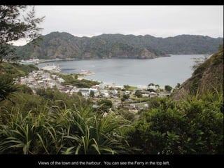 Double-click to enter title
Double-click to enter text
Views of the town and the harbour. You can see the Ferry in the top left.
 