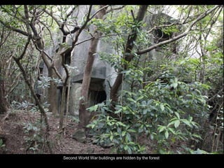 Double-click to enter title
Double-click to enter text
Second World War buildings are hidden by the forest
 