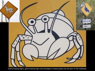 Crab Crossing signs, goat crossing signs and red pigeon crossing signs can be seen on the roadways.
 