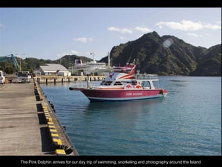 Double-click to enter title
Double-click to enter text
The Pink Dolphin arrives for our day trip of swimming, snorkeling and photography around the Island
 