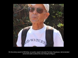On the windy ascent to Mt.Kofuji, our guide, expert naturalist Tamotsu Hayakawa, demonstrated
some bird calls to attract the rare Hahajima Meguro
 