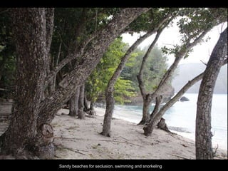 Double-click to enter title
Double-click to enter text
Sandy beaches for seclusion, swimming and snorkeling
 