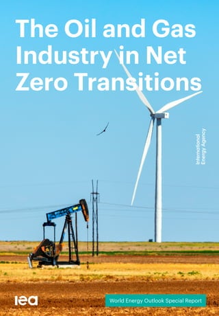 World Energy Outlook Special Report
The Oil and Gas
Industry in Net
Zero Transitions
 